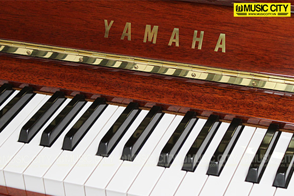 Music City – Tổng Kho Piano, Guitar, Organ | Dịch Vụ Giáo Dục Âm Nhạc