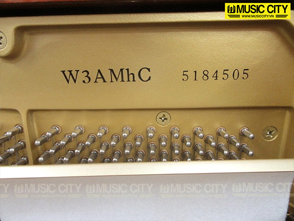 Music City – Tổng Kho Piano, Guitar, Organ | Dịch Vụ Giáo Dục Âm Nhạc