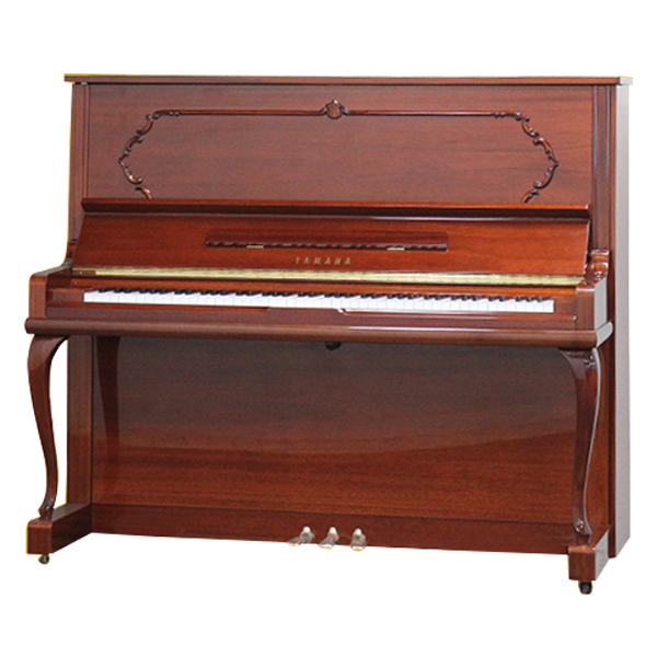Music City – Tổng Kho Piano, Guitar, Organ | Dịch Vụ Giáo Dục Âm Nhạc
