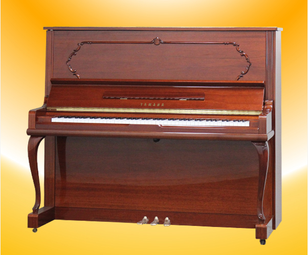 Music City – Tổng Kho Piano, Guitar, Organ | Dịch Vụ Giáo Dục Âm Nhạc