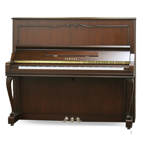 Music City – Tổng Kho Piano, Guitar, Organ | Dịch Vụ Giáo Dục Âm Nhạc