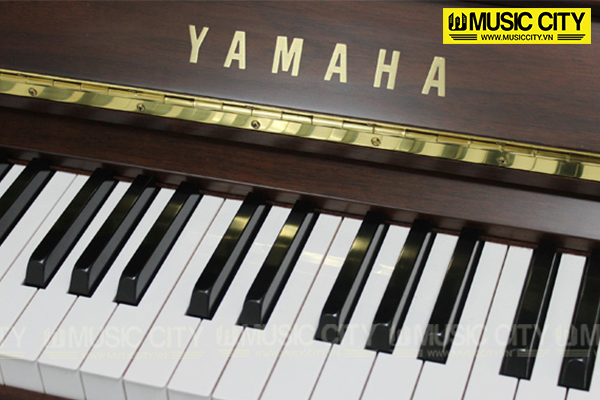 Music City – Tổng Kho Piano, Guitar, Organ | Dịch Vụ Giáo Dục Âm Nhạc