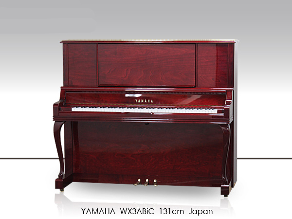 Music City – Tổng Kho Piano, Guitar, Organ | Dịch Vụ Giáo Dục Âm Nhạc