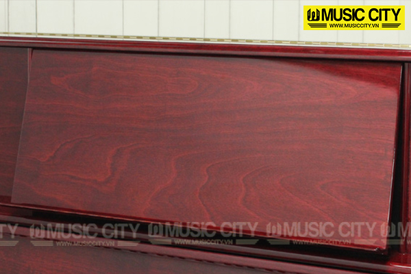 Music City – Tổng Kho Piano, Guitar, Organ | Dịch Vụ Giáo Dục Âm Nhạc