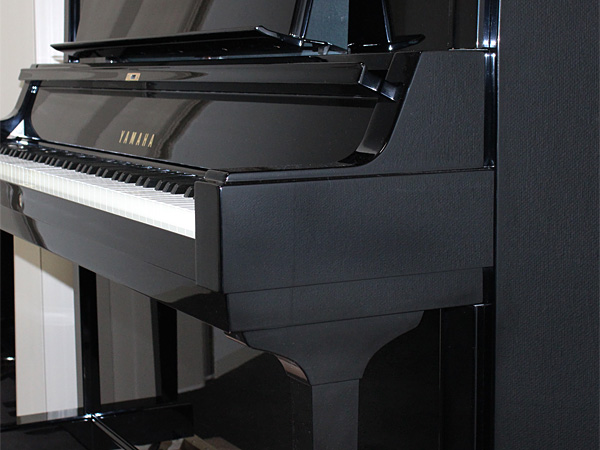 Music City – Tổng Kho Piano, Guitar, Organ | Dịch Vụ Giáo Dục Âm Nhạc