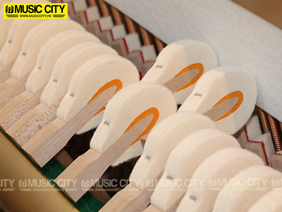 Music City – Tổng Kho Piano, Guitar, Organ | Dịch Vụ Giáo Dục Âm Nhạc