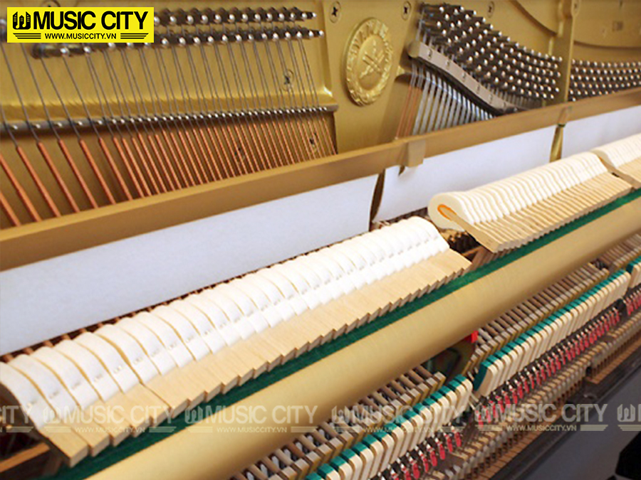 Music City – Tổng Kho Piano, Guitar, Organ | Dịch Vụ Giáo Dục Âm Nhạc
