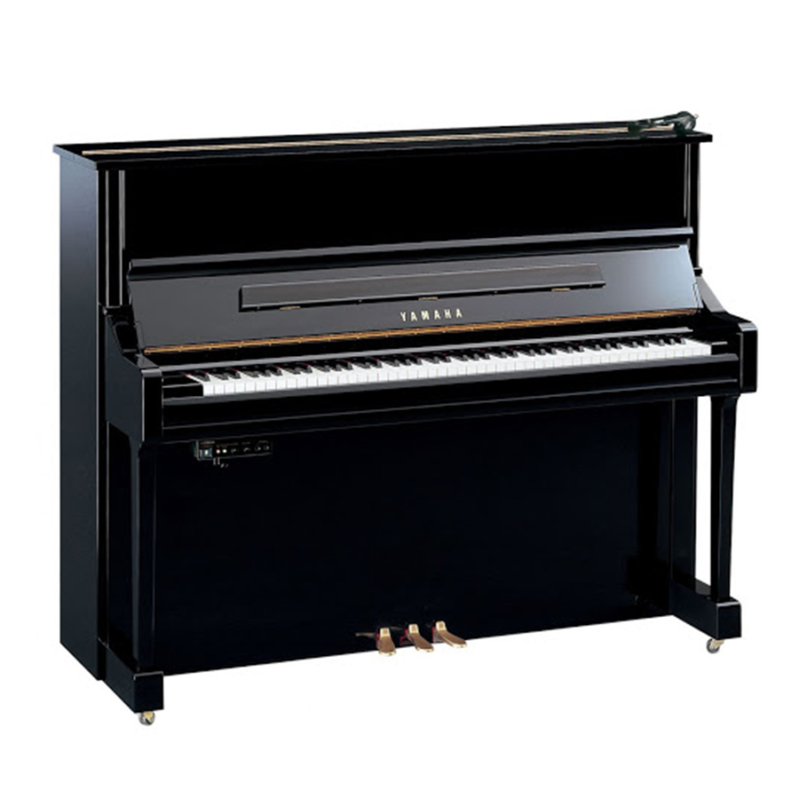 Music City – Tổng Kho Piano, Guitar, Organ | Dịch Vụ Giáo Dục Âm Nhạc