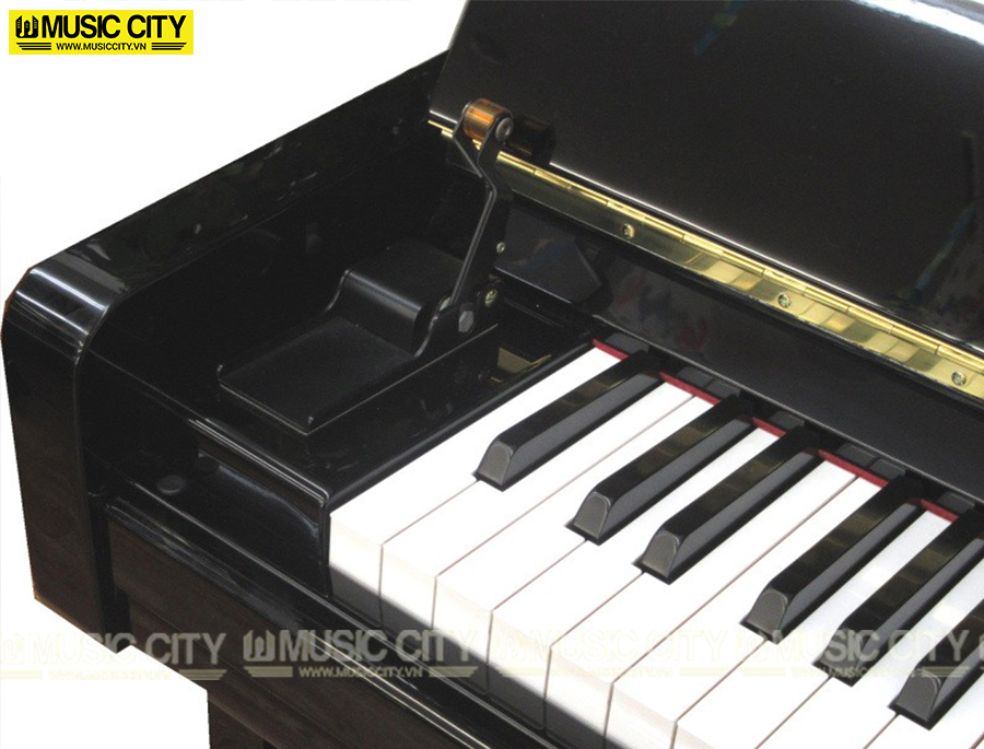 Music City – Tổng Kho Piano, Guitar, Organ | Dịch Vụ Giáo Dục Âm Nhạc