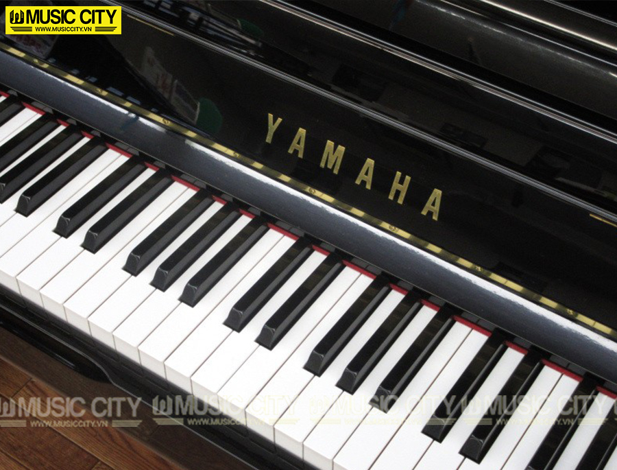 Music City – Tổng Kho Piano, Guitar, Organ | Dịch Vụ Giáo Dục Âm Nhạc