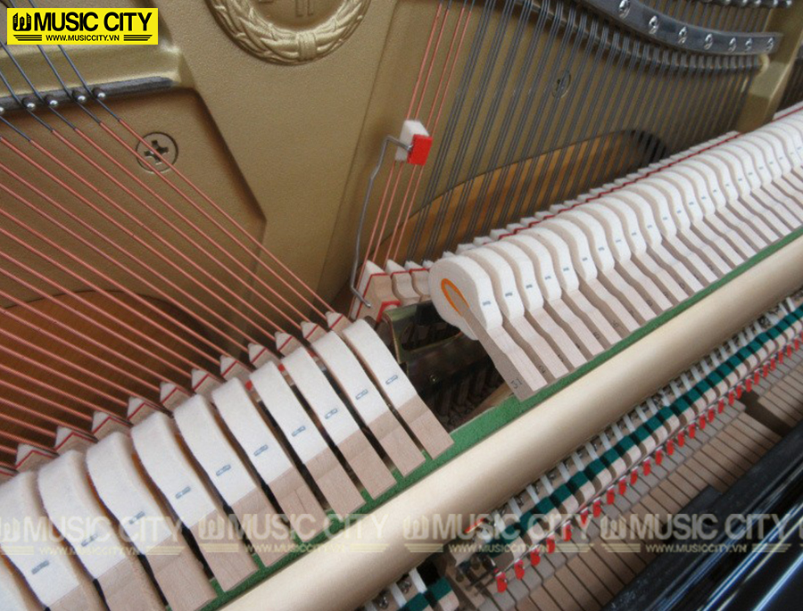 Music City – Tổng Kho Piano, Guitar, Organ | Dịch Vụ Giáo Dục Âm Nhạc