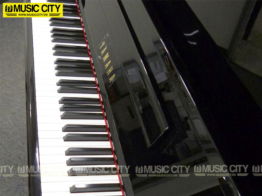 Music City – Tổng Kho Piano, Guitar, Organ | Dịch Vụ Giáo Dục Âm Nhạc