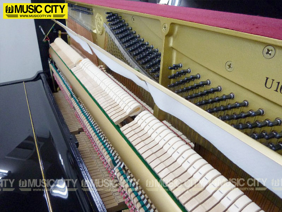 Music City – Tổng Kho Piano, Guitar, Organ | Dịch Vụ Giáo Dục Âm Nhạc