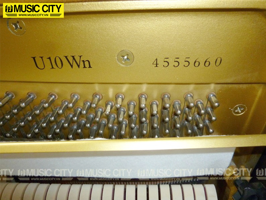 Music City – Tổng Kho Piano, Guitar, Organ | Dịch Vụ Giáo Dục Âm Nhạc