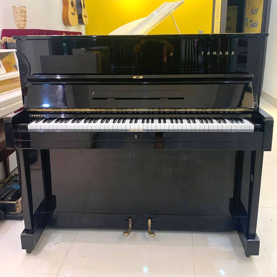 Music City – Tổng Kho Piano, Guitar, Organ | Dịch Vụ Giáo Dục Âm Nhạc