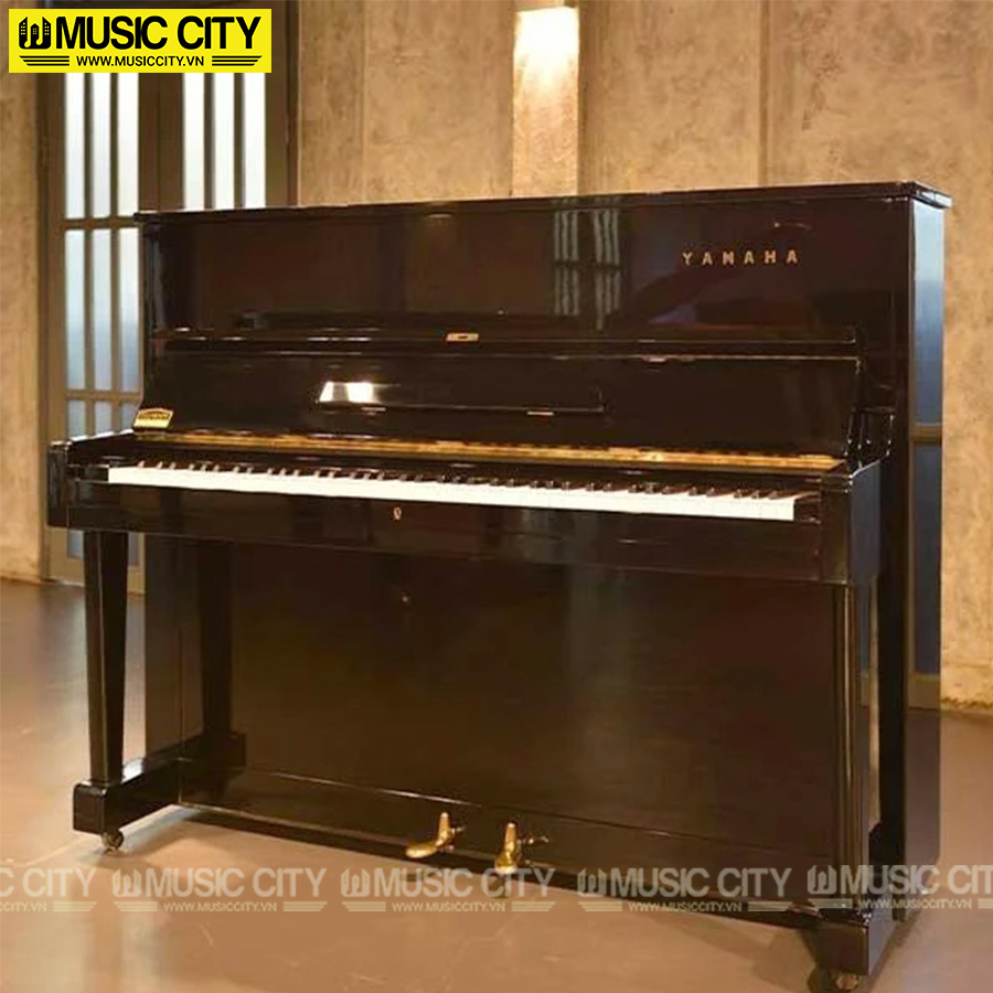 Music City – Tổng Kho Piano, Guitar, Organ | Dịch Vụ Giáo Dục Âm Nhạc