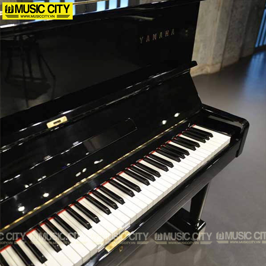 Music City – Tổng Kho Piano, Guitar, Organ | Dịch Vụ Giáo Dục Âm Nhạc