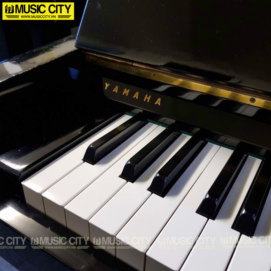 Music City – Tổng Kho Piano, Guitar, Organ | Dịch Vụ Giáo Dục Âm Nhạc