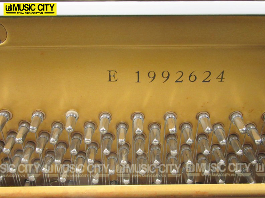 Music City – Tổng Kho Piano, Guitar, Organ | Dịch Vụ Giáo Dục Âm Nhạc