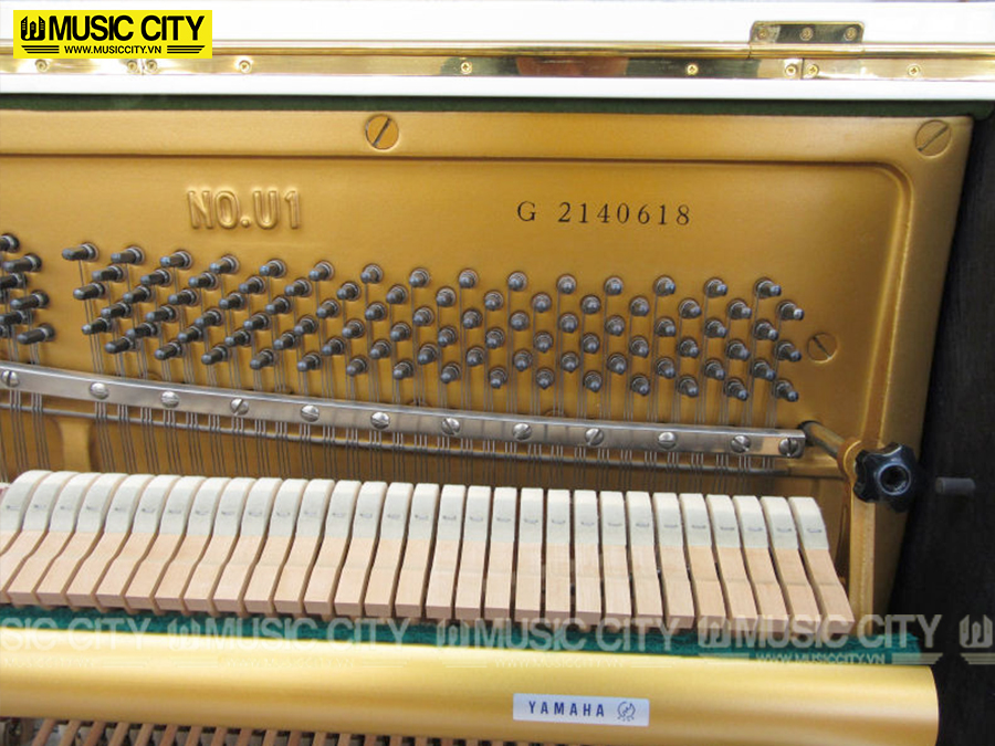 Music City – Tổng Kho Piano, Guitar, Organ | Dịch Vụ Giáo Dục Âm Nhạc