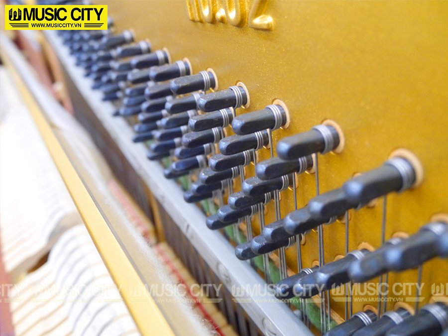 Music City – Tổng Kho Piano, Guitar, Organ | Dịch Vụ Giáo Dục Âm Nhạc