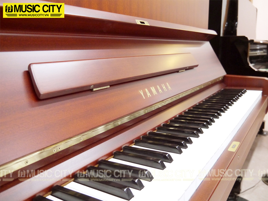Music City – Tổng Kho Piano, Guitar, Organ | Dịch Vụ Giáo Dục Âm Nhạc
