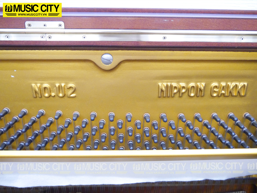Music City – Tổng Kho Piano, Guitar, Organ | Dịch Vụ Giáo Dục Âm Nhạc