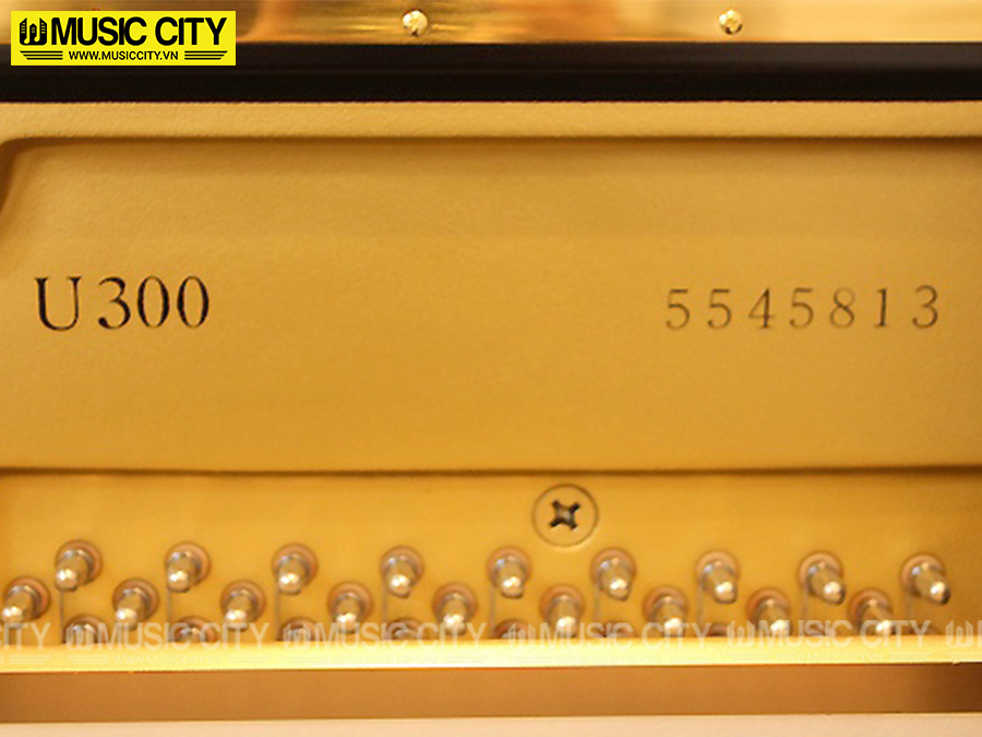 Music City – Tổng Kho Piano, Guitar, Organ | Dịch Vụ Giáo Dục Âm Nhạc