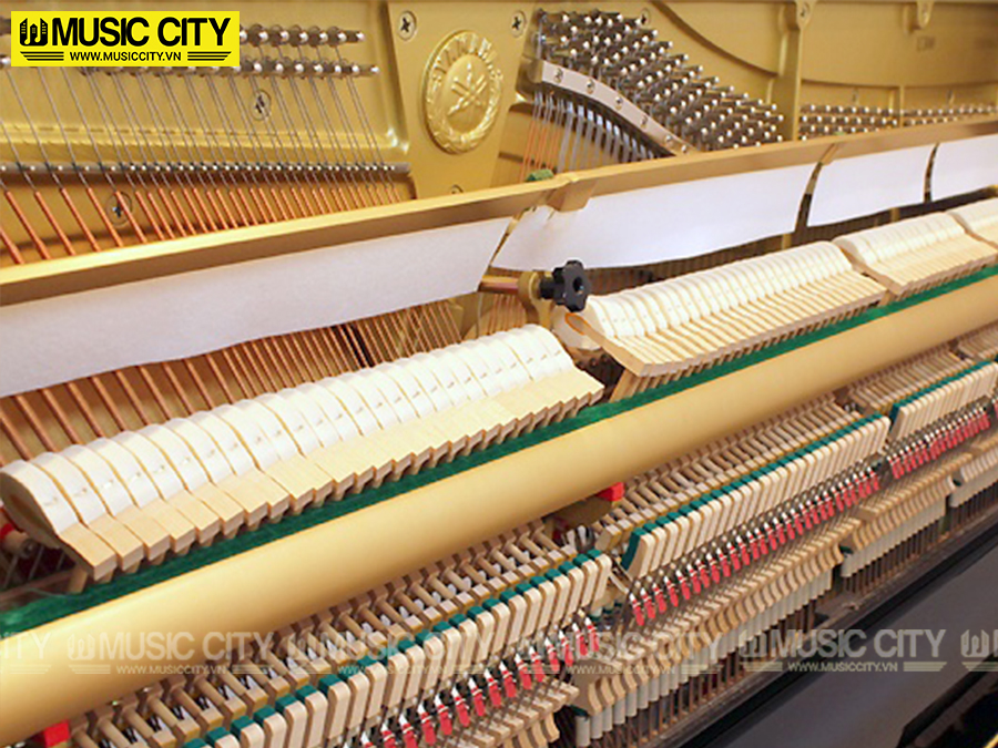 Music City – Tổng Kho Piano, Guitar, Organ | Dịch Vụ Giáo Dục Âm Nhạc