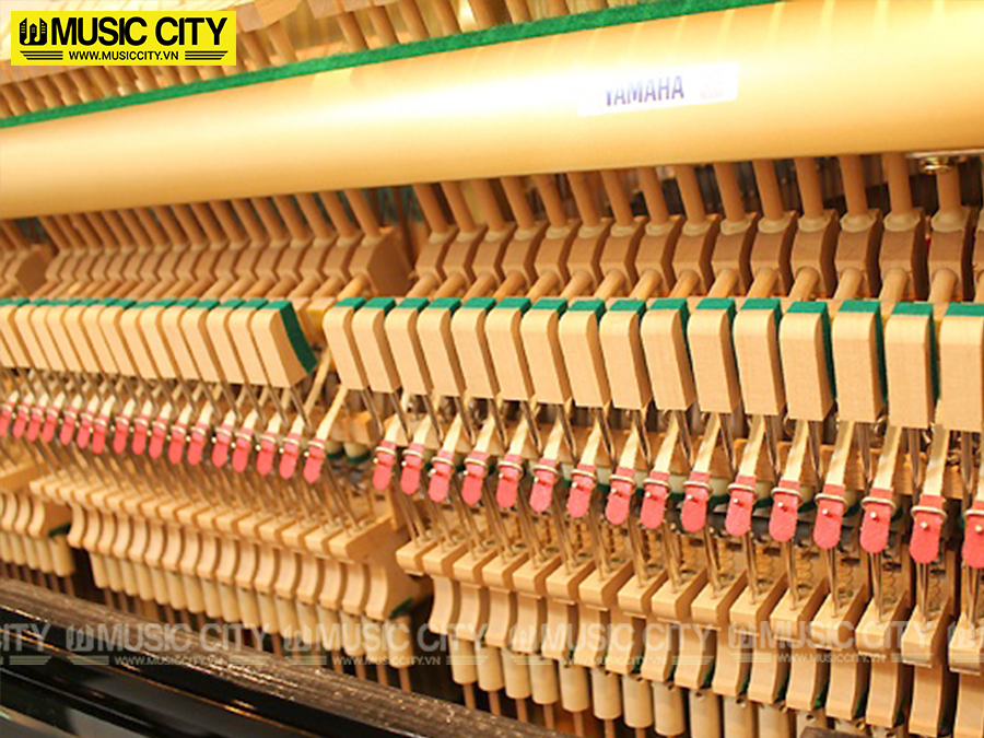 Music City – Tổng Kho Piano, Guitar, Organ | Dịch Vụ Giáo Dục Âm Nhạc