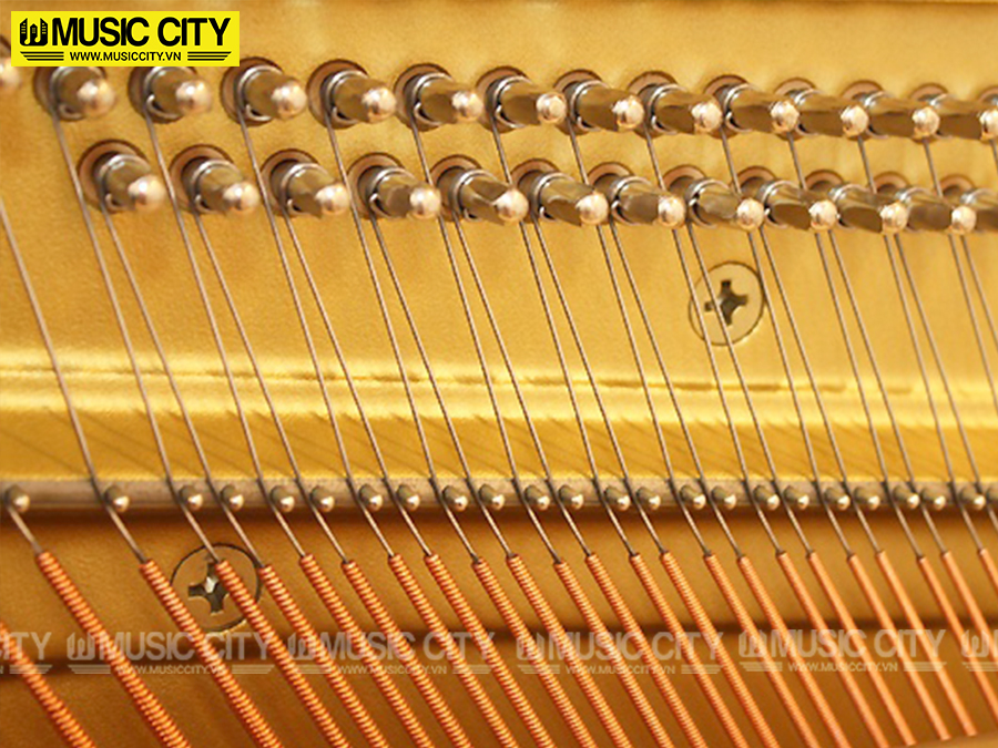 Music City – Tổng Kho Piano, Guitar, Organ | Dịch Vụ Giáo Dục Âm Nhạc
