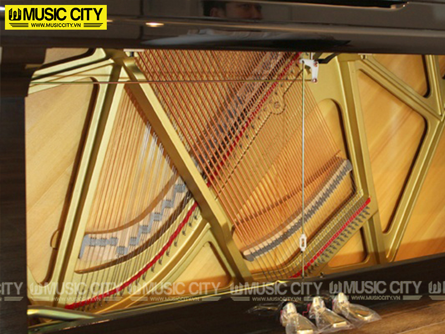 Music City – Tổng Kho Piano, Guitar, Organ | Dịch Vụ Giáo Dục Âm Nhạc