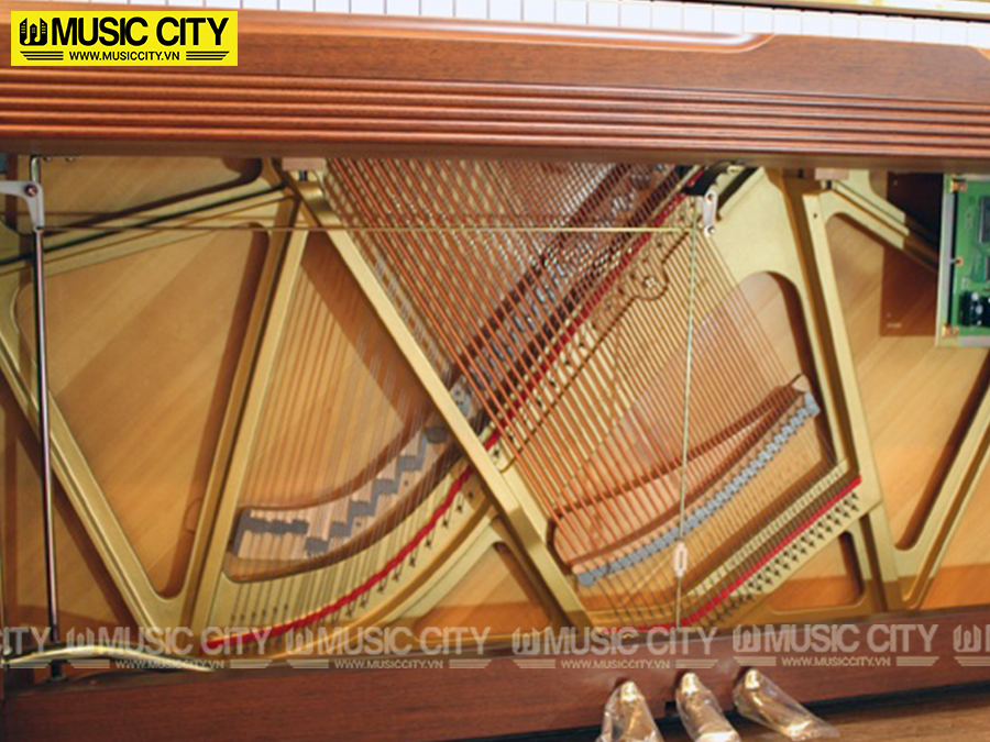 Music City – Tổng Kho Piano, Guitar, Organ | Dịch Vụ Giáo Dục Âm Nhạc