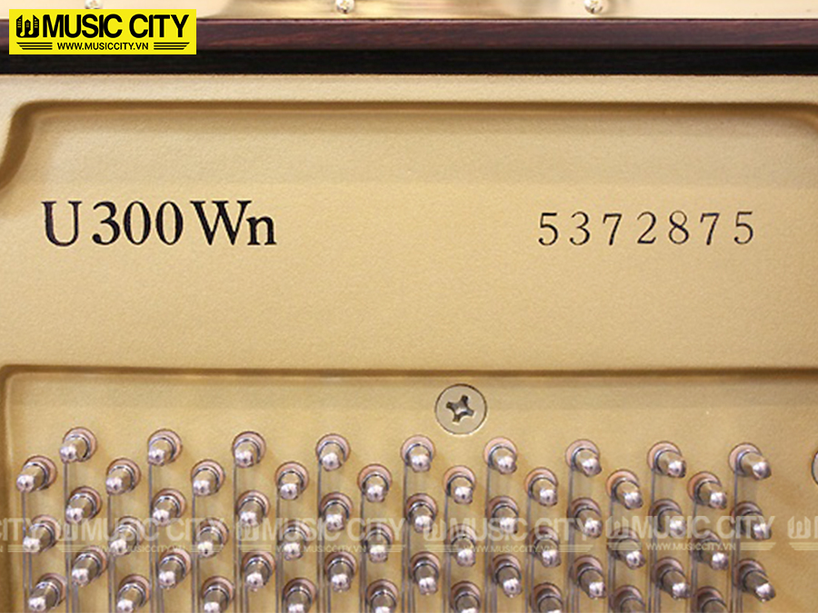 Music City – Tổng Kho Piano, Guitar, Organ | Dịch Vụ Giáo Dục Âm Nhạc