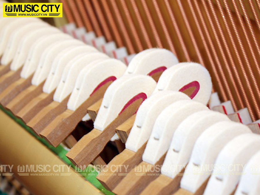 Music City – Tổng Kho Piano, Guitar, Organ | Dịch Vụ Giáo Dục Âm Nhạc