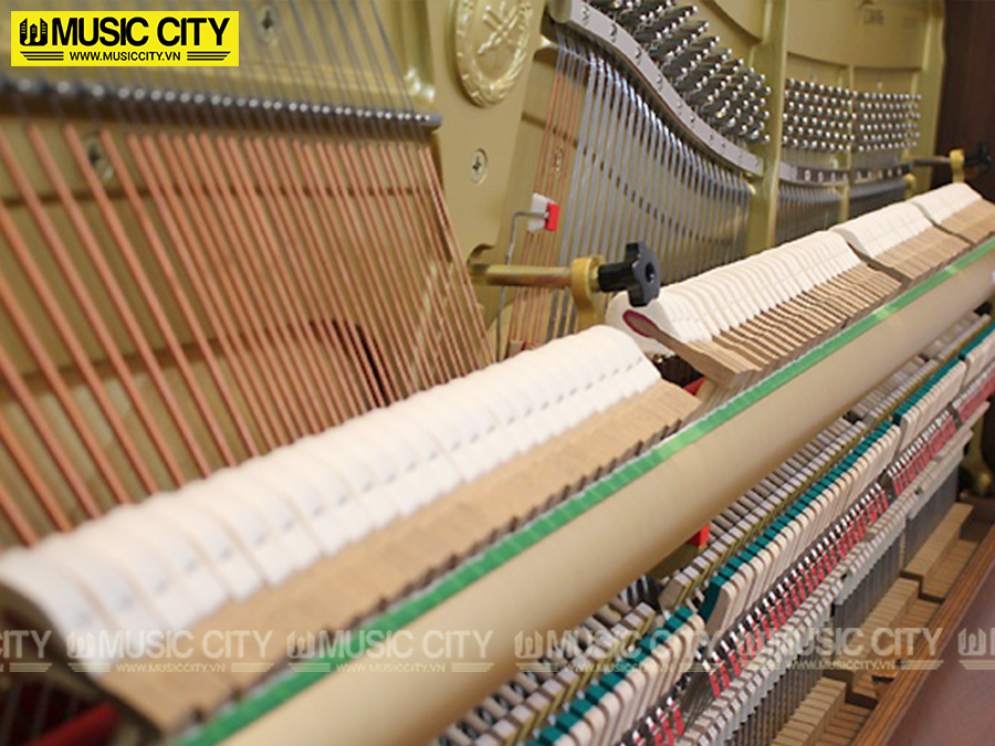 Music City – Tổng Kho Piano, Guitar, Organ | Dịch Vụ Giáo Dục Âm Nhạc
