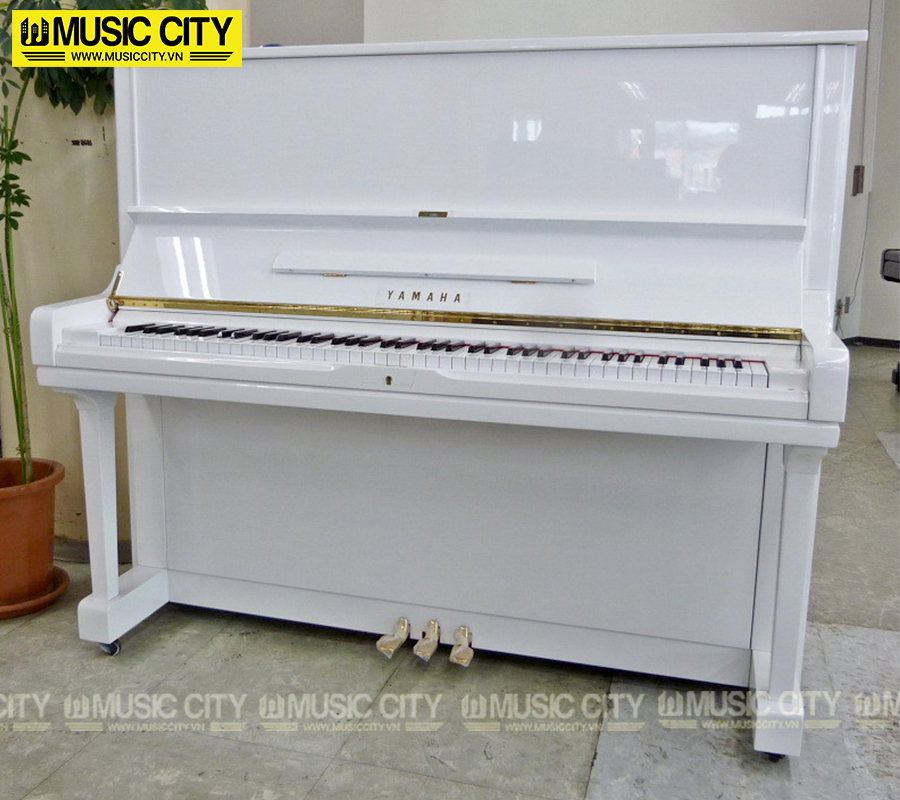 Music City – Tổng Kho Piano, Guitar, Organ | Dịch Vụ Giáo Dục Âm Nhạc