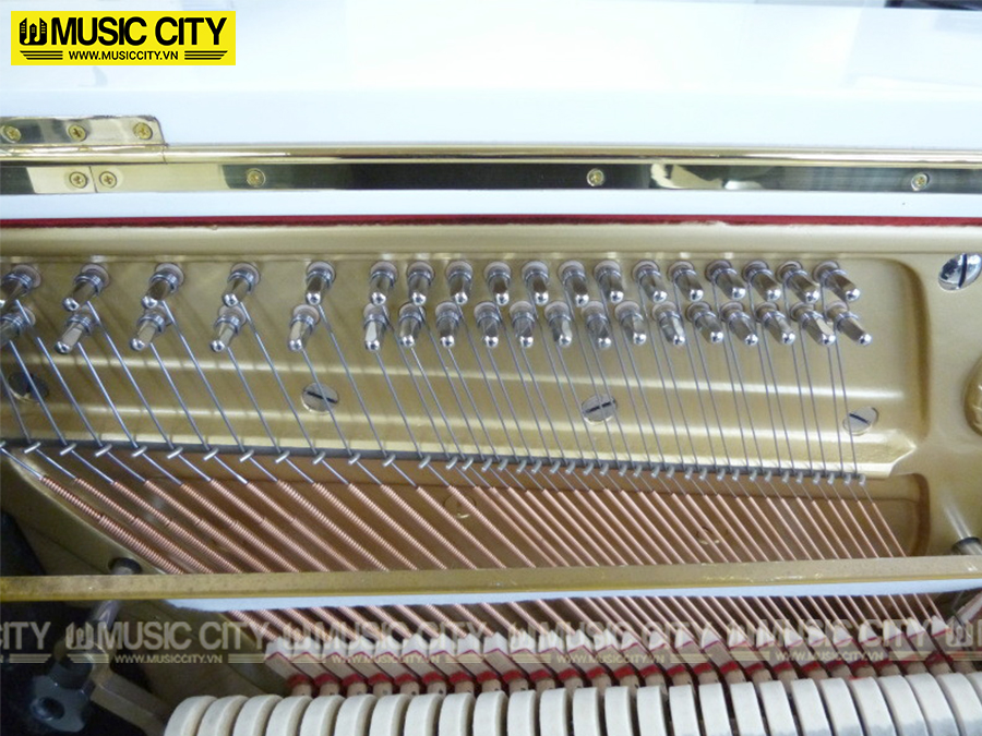 Music City – Tổng Kho Piano, Guitar, Organ | Dịch Vụ Giáo Dục Âm Nhạc