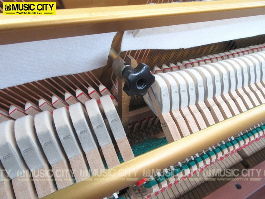 Music City – Tổng Kho Piano, Guitar, Organ | Dịch Vụ Giáo Dục Âm Nhạc