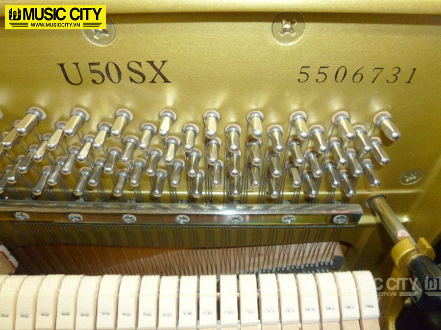 Music City – Tổng Kho Piano, Guitar, Organ | Dịch Vụ Giáo Dục Âm Nhạc