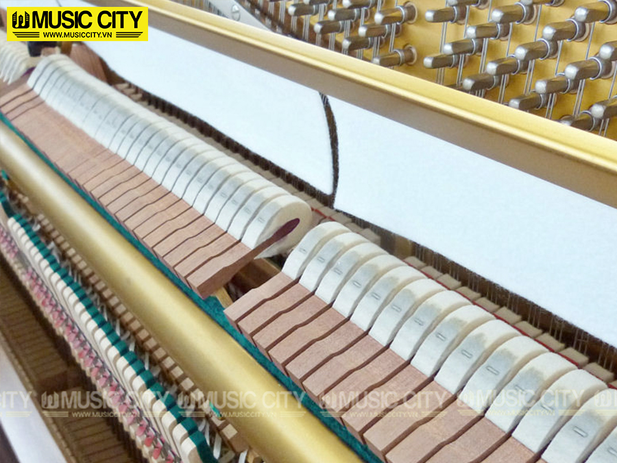 Music City – Tổng Kho Piano, Guitar, Organ | Dịch Vụ Giáo Dục Âm Nhạc