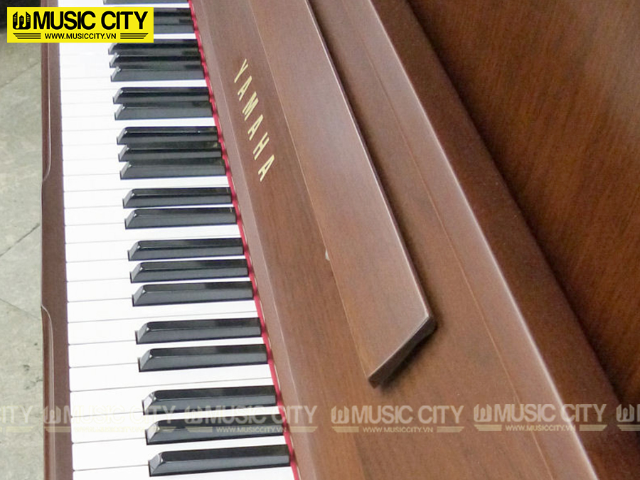 Music City – Tổng Kho Piano, Guitar, Organ | Dịch Vụ Giáo Dục Âm Nhạc
