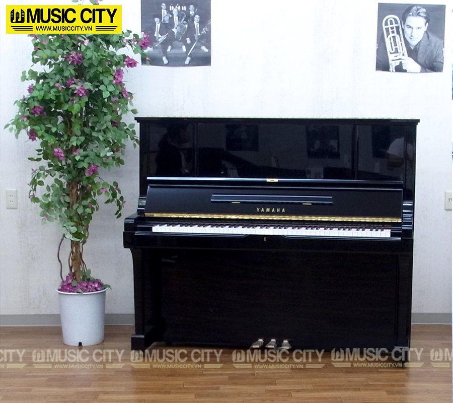 Music City – Tổng Kho Piano, Guitar, Organ | Dịch Vụ Giáo Dục Âm Nhạc