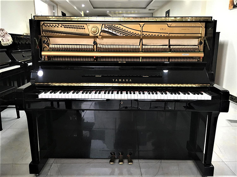 Music City – Tổng Kho Piano, Guitar, Organ | Dịch Vụ Giáo Dục Âm Nhạc
