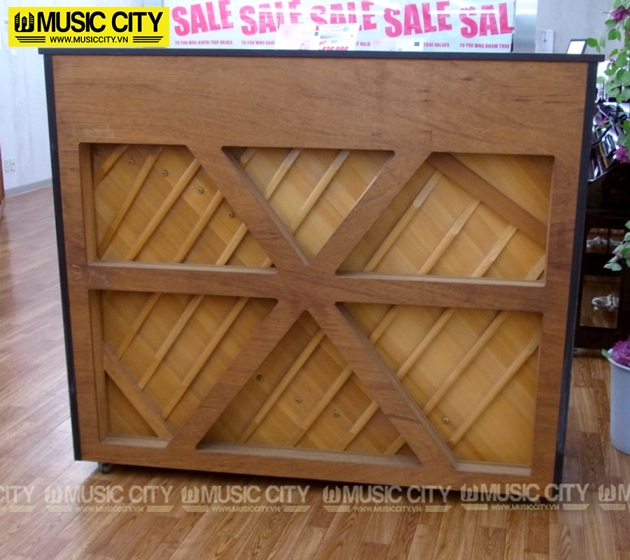 Music City – Tổng Kho Piano, Guitar, Organ | Dịch Vụ Giáo Dục Âm Nhạc