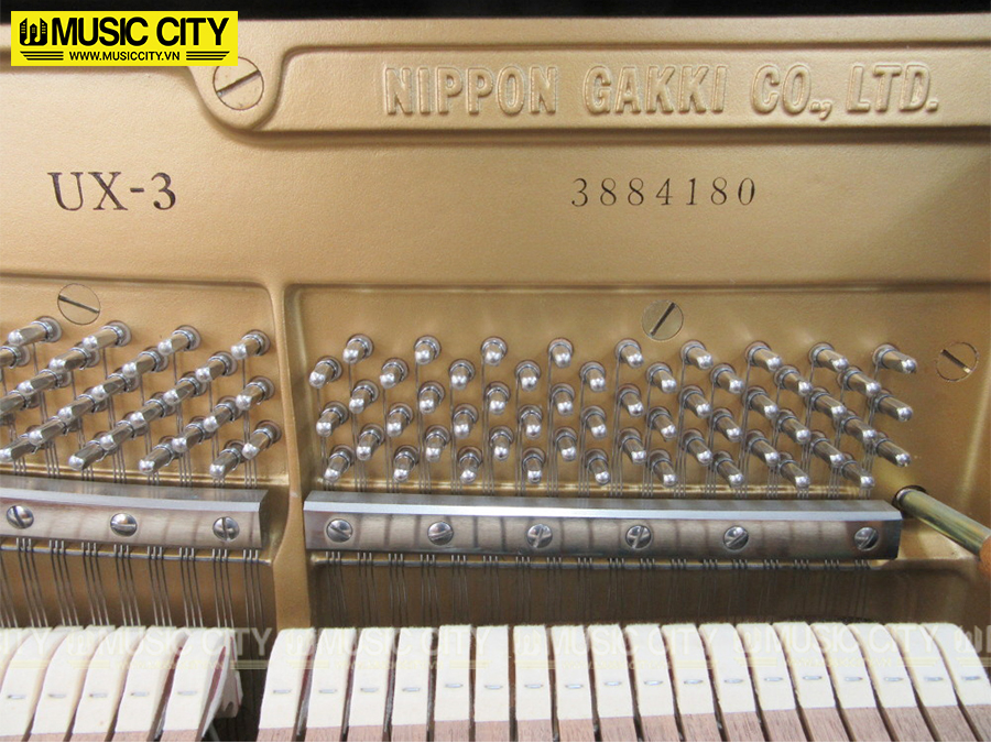Music City – Tổng Kho Piano, Guitar, Organ | Dịch Vụ Giáo Dục Âm Nhạc