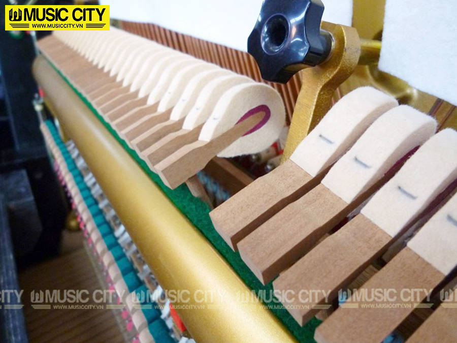 Music City – Tổng Kho Piano, Guitar, Organ | Dịch Vụ Giáo Dục Âm Nhạc