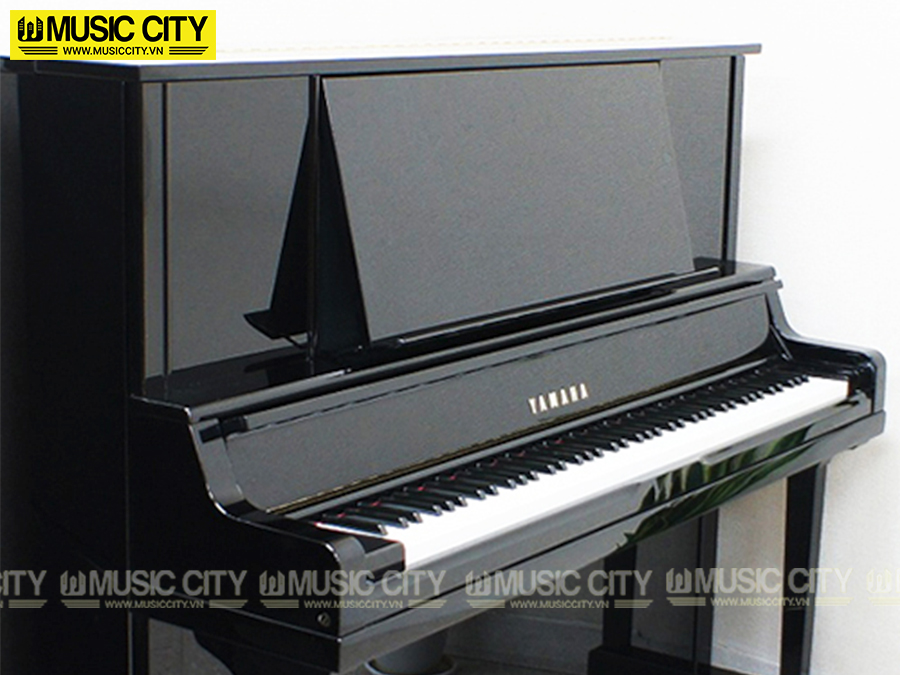 Music City – Tổng Kho Piano, Guitar, Organ | Dịch Vụ Giáo Dục Âm Nhạc