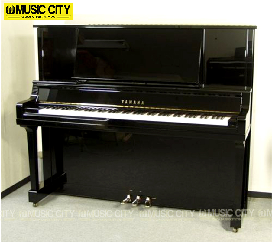 Music City – Tổng Kho Piano, Guitar, Organ | Dịch Vụ Giáo Dục Âm Nhạc