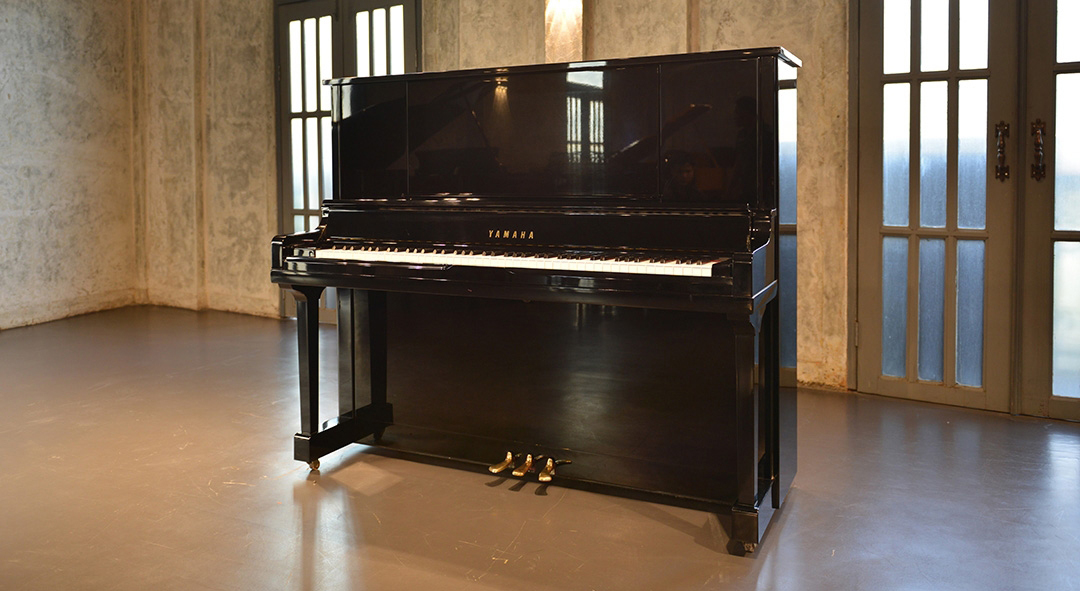 Music City – Tổng Kho Piano, Guitar, Organ | Dịch Vụ Giáo Dục Âm Nhạc